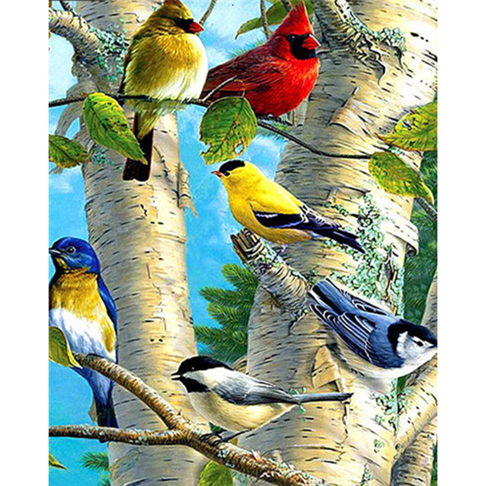 

40*50CM - Square Drill Diamond Painting - Bird, 501 Original
