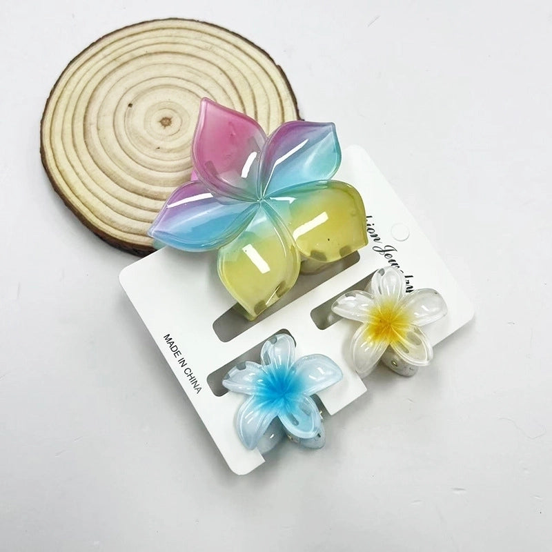 Vacation Modern Style Women’s Flower Resin Hair Claws