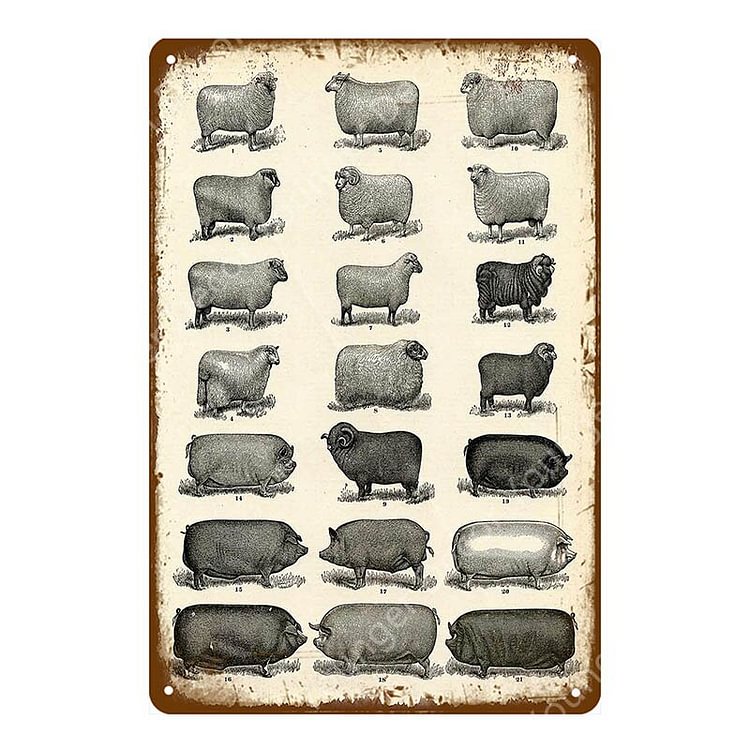 Fresh Happy Chicken - Vintage Tin Signs/Wooden Signs - 7.9x11.8in & 11.8x15.7in