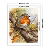 (US Only)Robin Printed Cross Stitch Kit 40x50cm DIY 11CT Embroidery Craft Set Home Decor