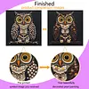 Framed Owl - DIY Button Art Painting Kit for Creativity DIY Pearl Dot Crafts for Gift Home Wall Decor 30*30CM
