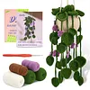Hanging Potted Plants Crochet Kit, Crochet Starter Kit with Step-by-Step Instructions and Video Tutorials, DIY Knitting Kit for Adults, Starter Present