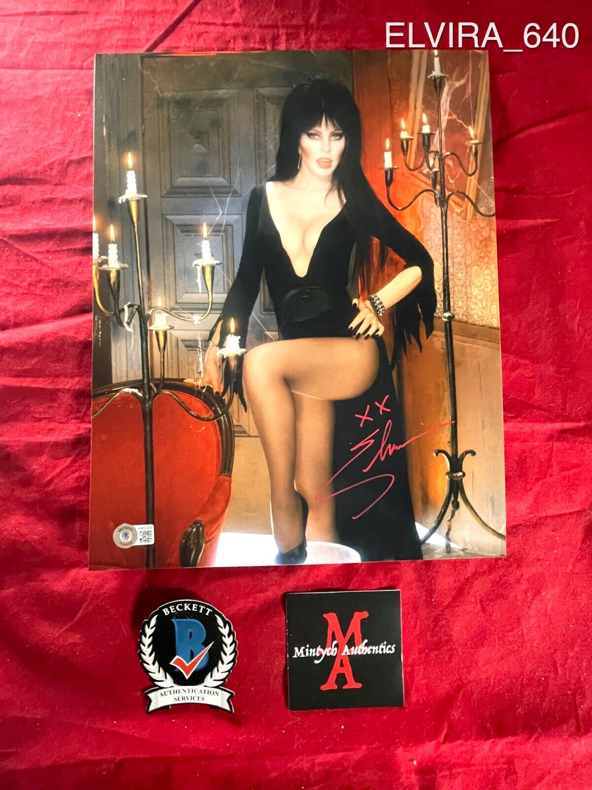 ELVIRA CASSANDRA PETERSON AUTOGRAPHED SIGNED 11x14 Photo Poster painting! BECKETT COA! HORROR!