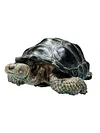 2024 Simulation turtle series Galapagos tortoise tortoise model