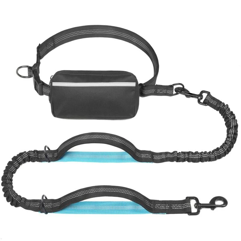 2025 New Hands Free Dog Leash with Zipper Pouch