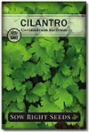 5 Herb Seeds Mix Package Collection Genovese Basil, Chives, Cilantro, Italian Parsley, and Oregano Seeds