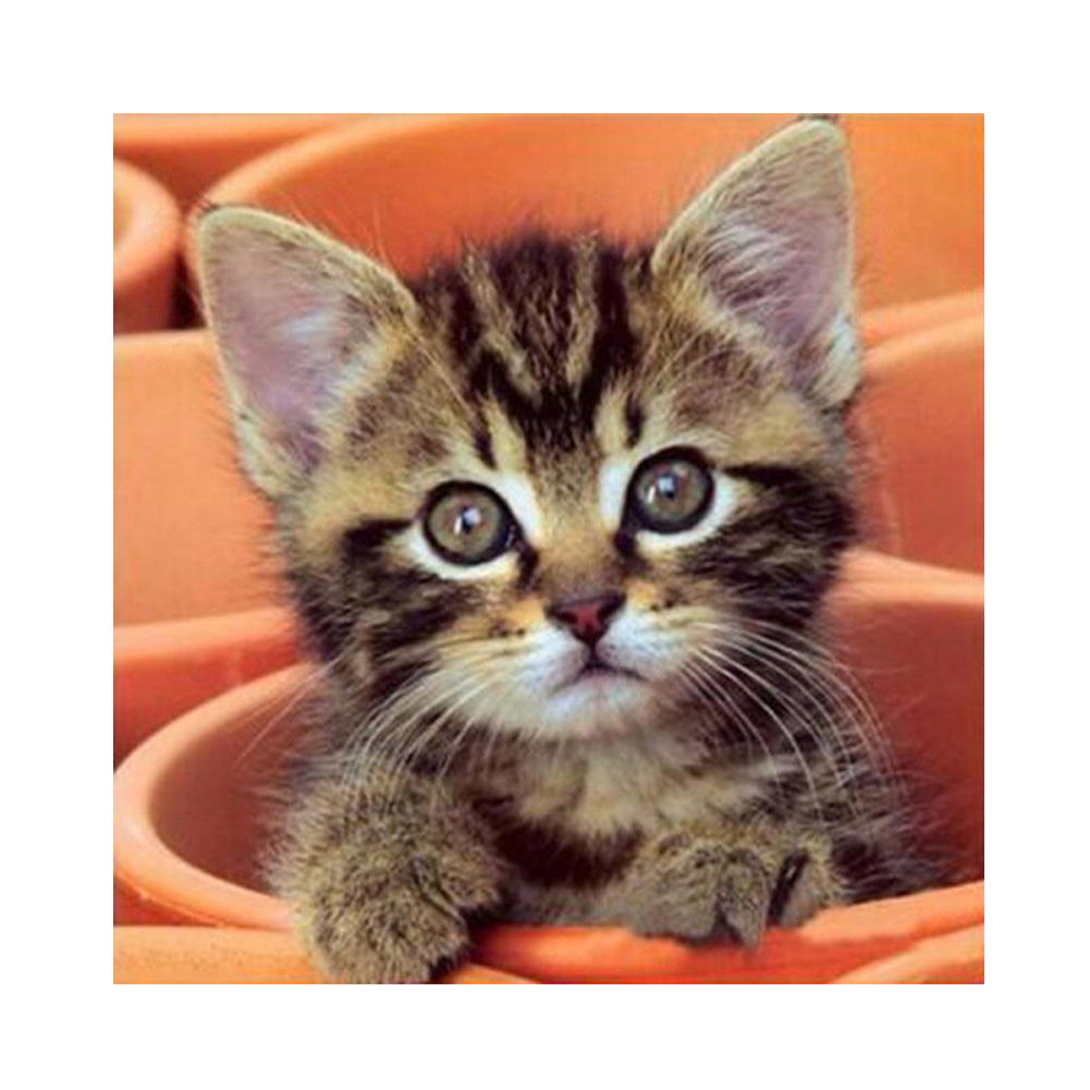 

Lovely Cat - Square Drill Diamond Painting - 30*30CM, 501 Original