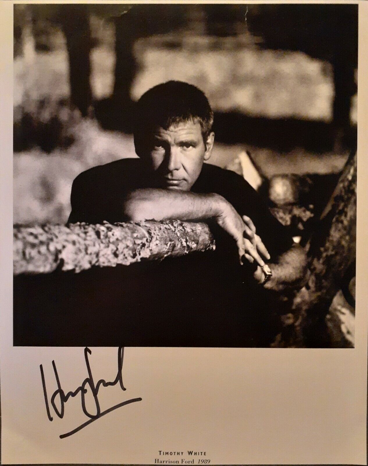 Harrison Ford signed 8x10 sheet