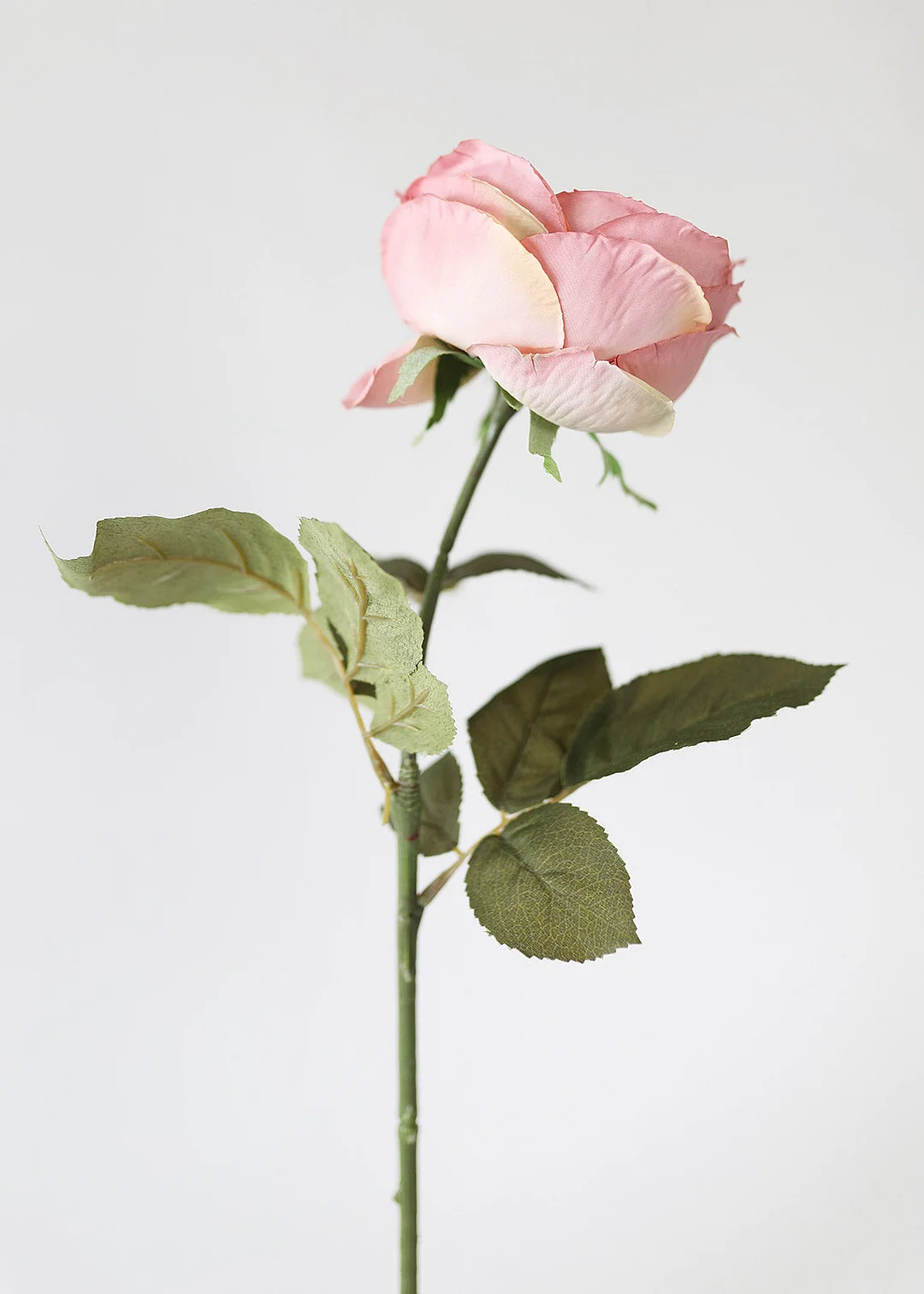 Silk English Cabbage Rose in Mauve - 25"