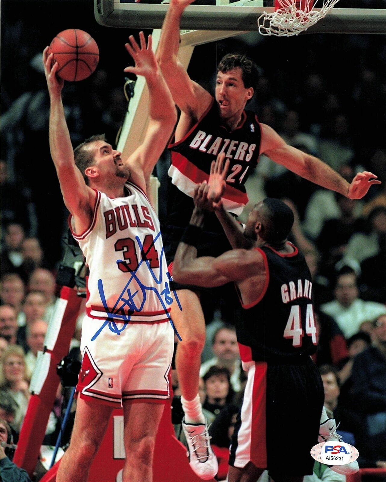 BILL WENNINGTON signed 8x10 Photo Poster painting PSA/DNA Chicago Bulls Autographed