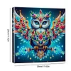 Blaue bunte Mandala-Eule speziell geformte 5D-DIY-Teilbohrer-Diamanten-Punkte, Edelstein-Kunstsets mit Rahmen, Diamanten-Gem&auml;lde, Edelstein-Kunst 29x2