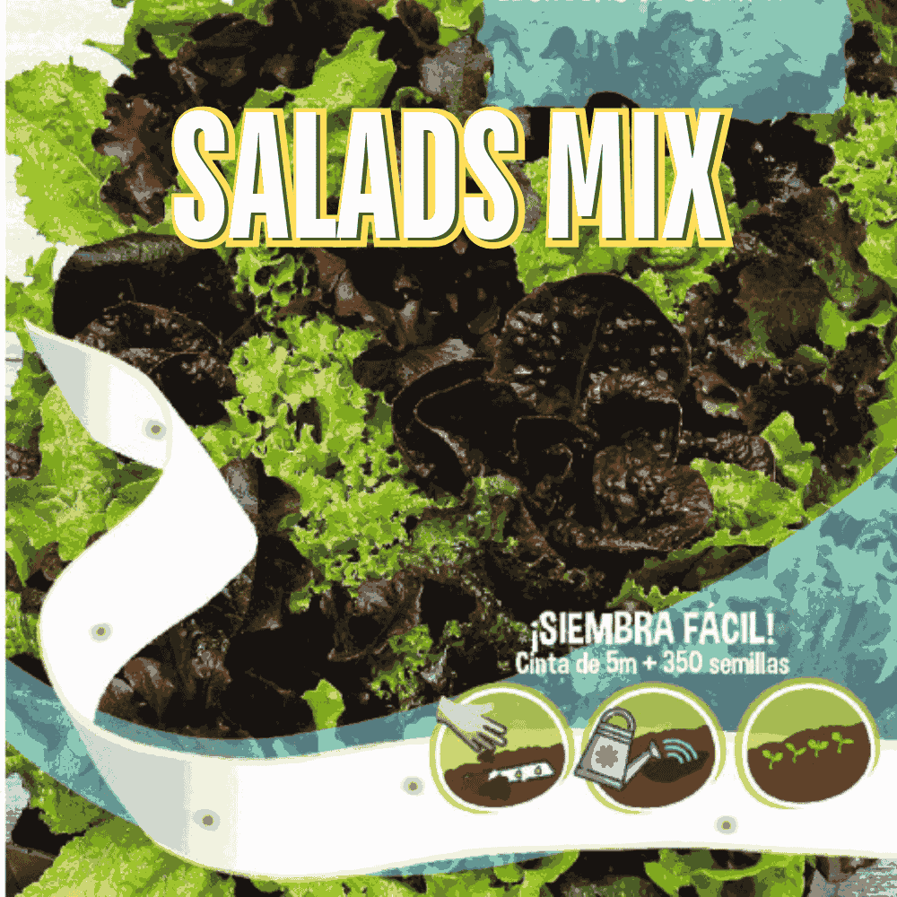 Lettuce Baby Leaf Seeds &ndash; Easy Grow Tape