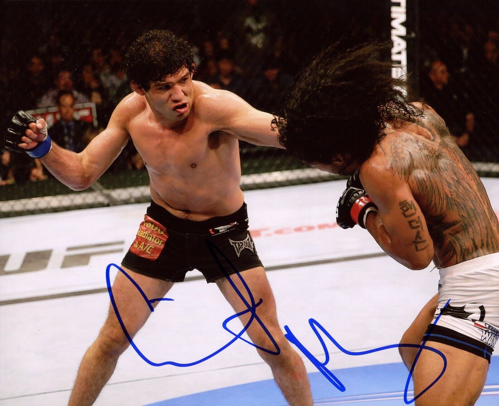 Gilbert Melendez UFC Autographed Signed 8x10 Photo Poster painting CFS Strikeforce COA