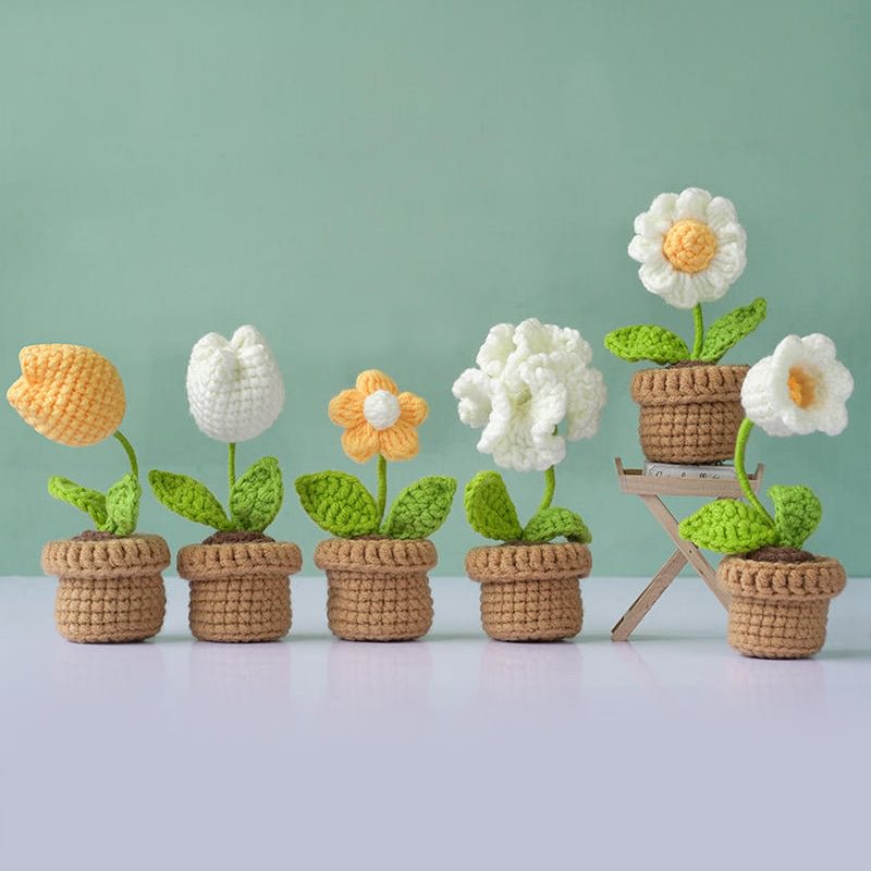 Cuteeeshop Crochet Kits White Flowers and Potted Plants Beginners Crochet Kit with Easy Peasy Yarn-6pcs