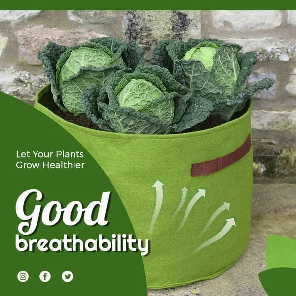 Fabric Vegetable Plant Growth Bag