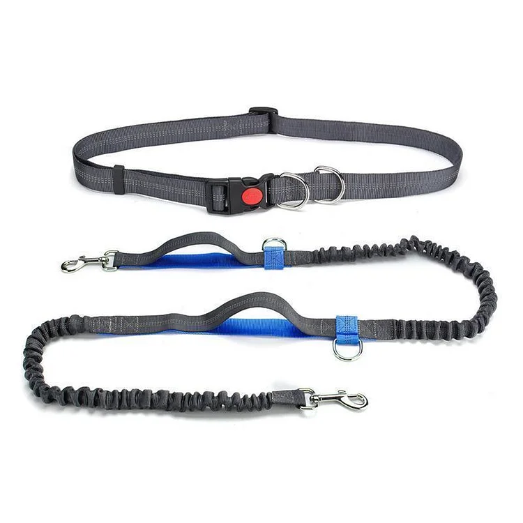 Handsfree Elastic Bungee Dog Leash | 168DEAL