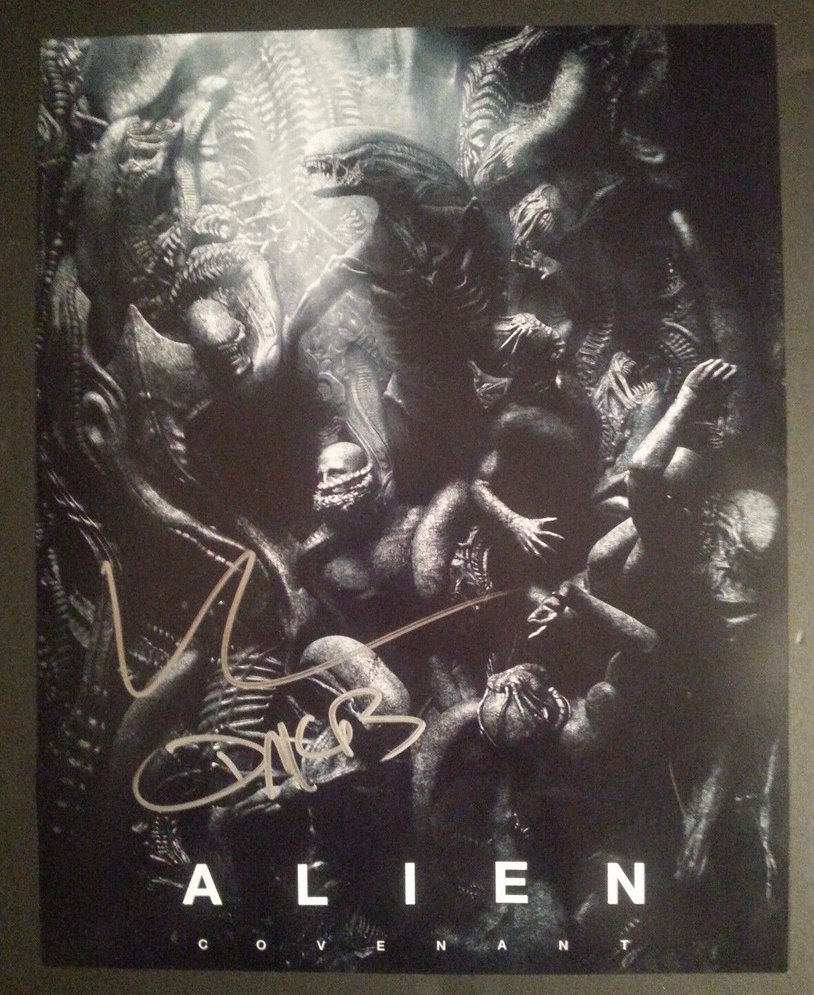 ~ALIEN: COVENANT Cast X2 Authentic Hand-Signed KATHERINE WATERSTON 11x14 Photo Poster painting A