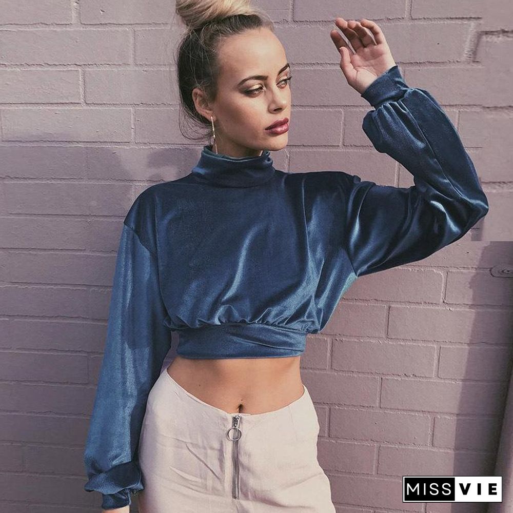 High Neck Midriff Baring Velvet Long Sleeve Top