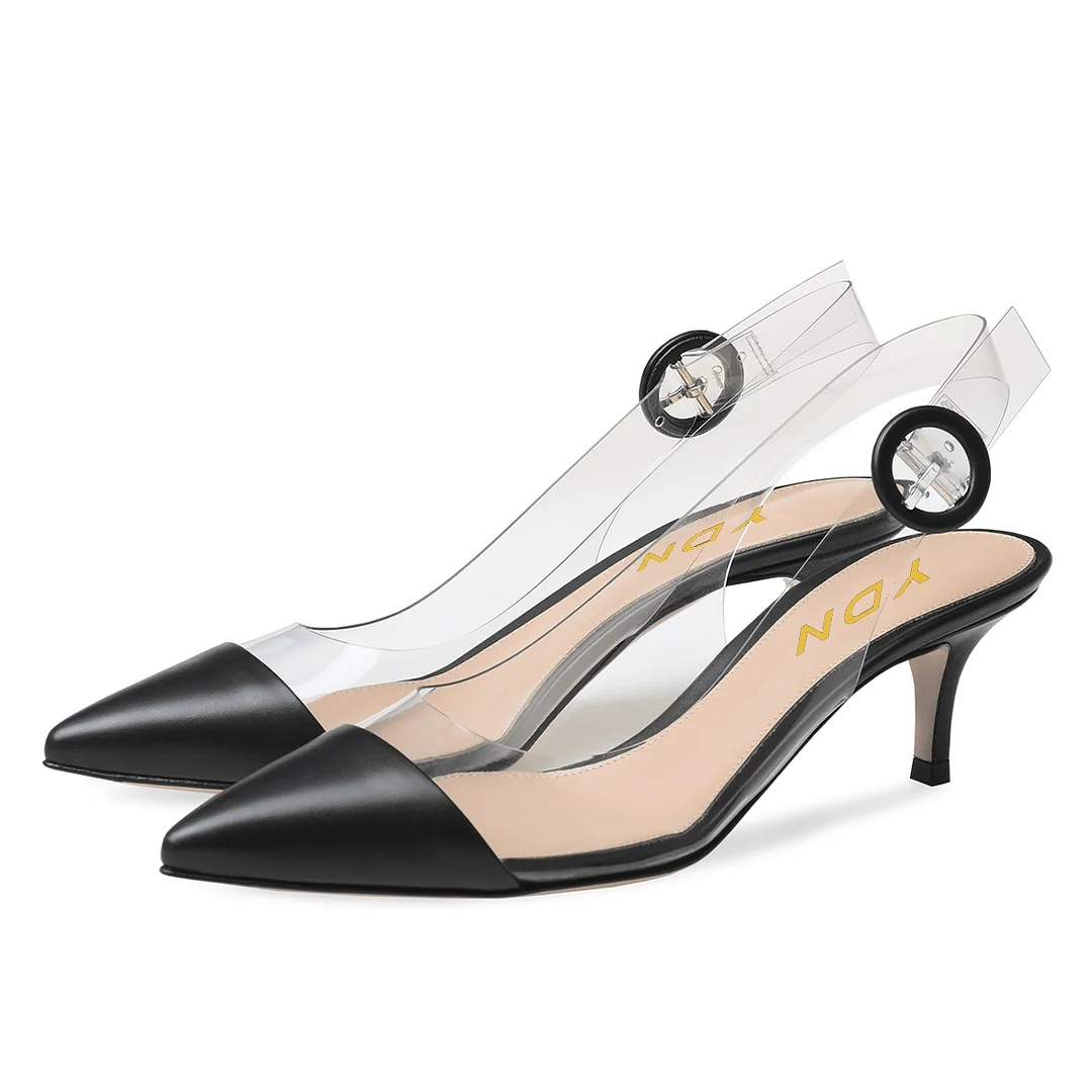 Pointed Toe Clear Strap Slingback Buckle Low Heel Pumps in Black