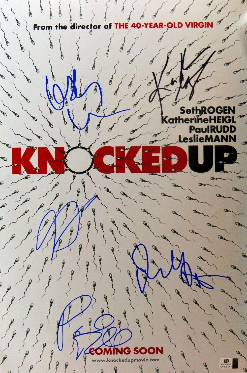 Knocked Up Cast Autographed 12X18 Photo Poster painting Rogen/Heigl/Rudd/Mann/Apatow GV809431