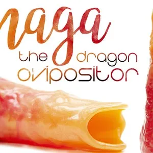 pornhint Pornhint Ovipositor - Naga the Ovipositor WITHOUT EGGS - Ovipositor Single - Kegel Eggs - Silicone Eggs - Squishy Eggs - Vaginal Eggs