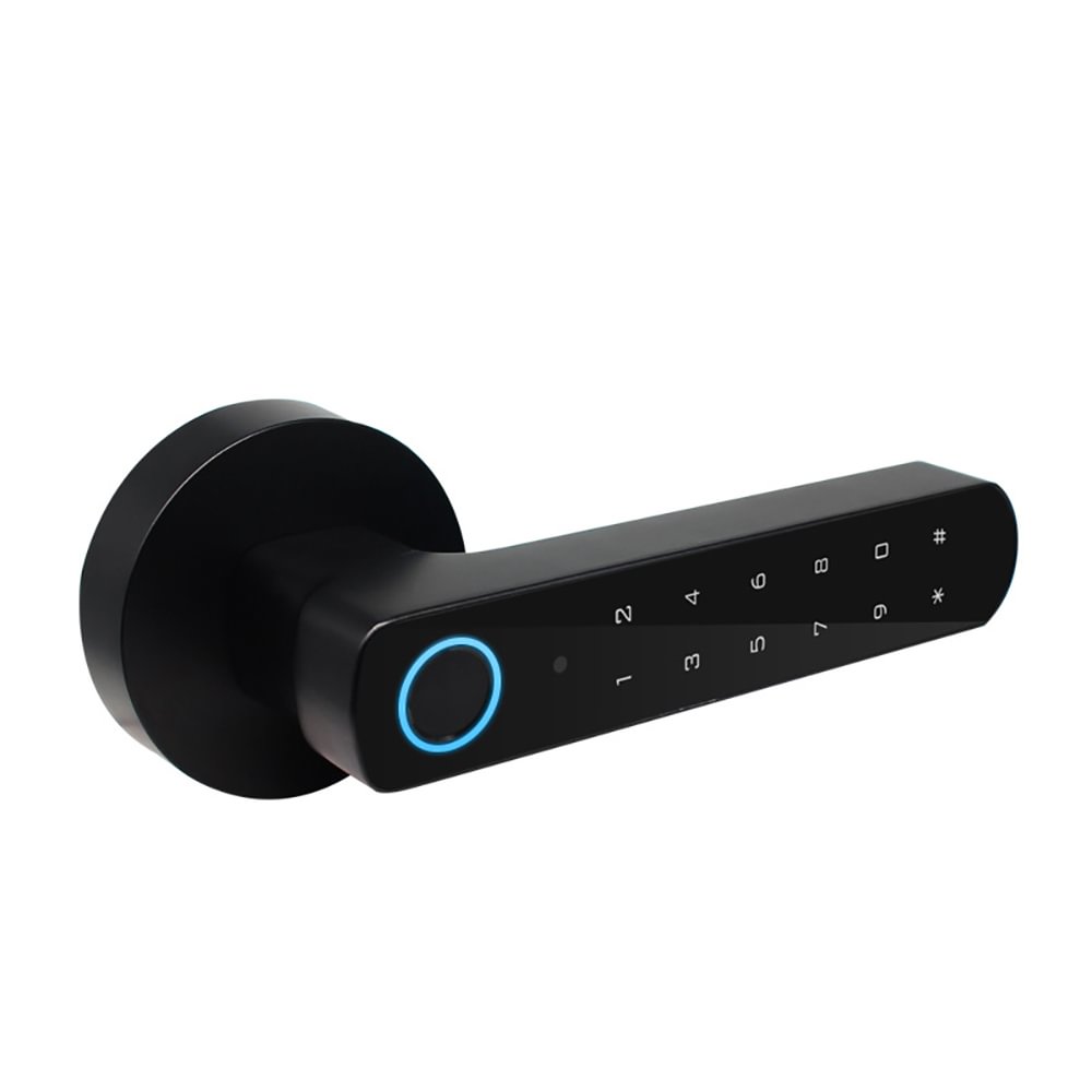 Bluetooth smart spherical fingerprint lock_Indoor room home anti-theft door lock_Intelligent fingerprint electronic door lock RSH-WD023 Deutsche Aktionsprodukte Full Strike Gmbh