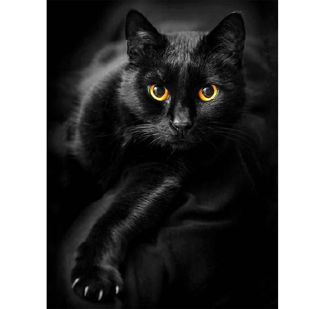 

Black Cat - Round Drill Diamond Painting - 40*50CM, 501 Original