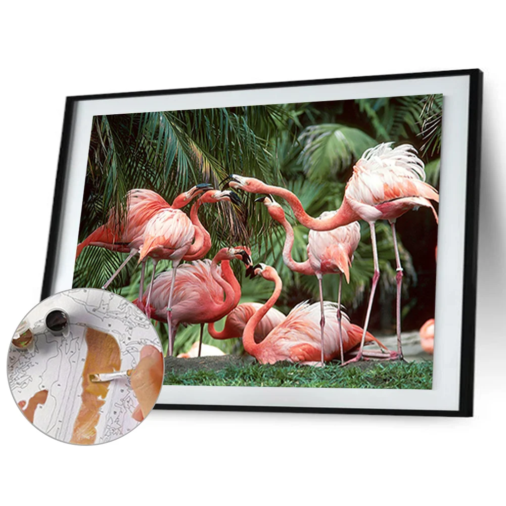 DIY Paint By Number 50*40cm - Flamingo