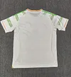 Joyfball 2025/2026 Celtic Third Away Football Shirt 1:1 Thai Quality