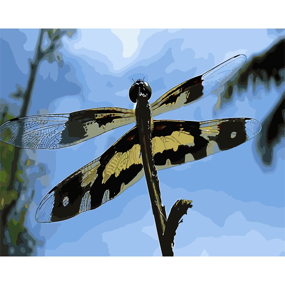 Dragonfly - Painting By Numbers