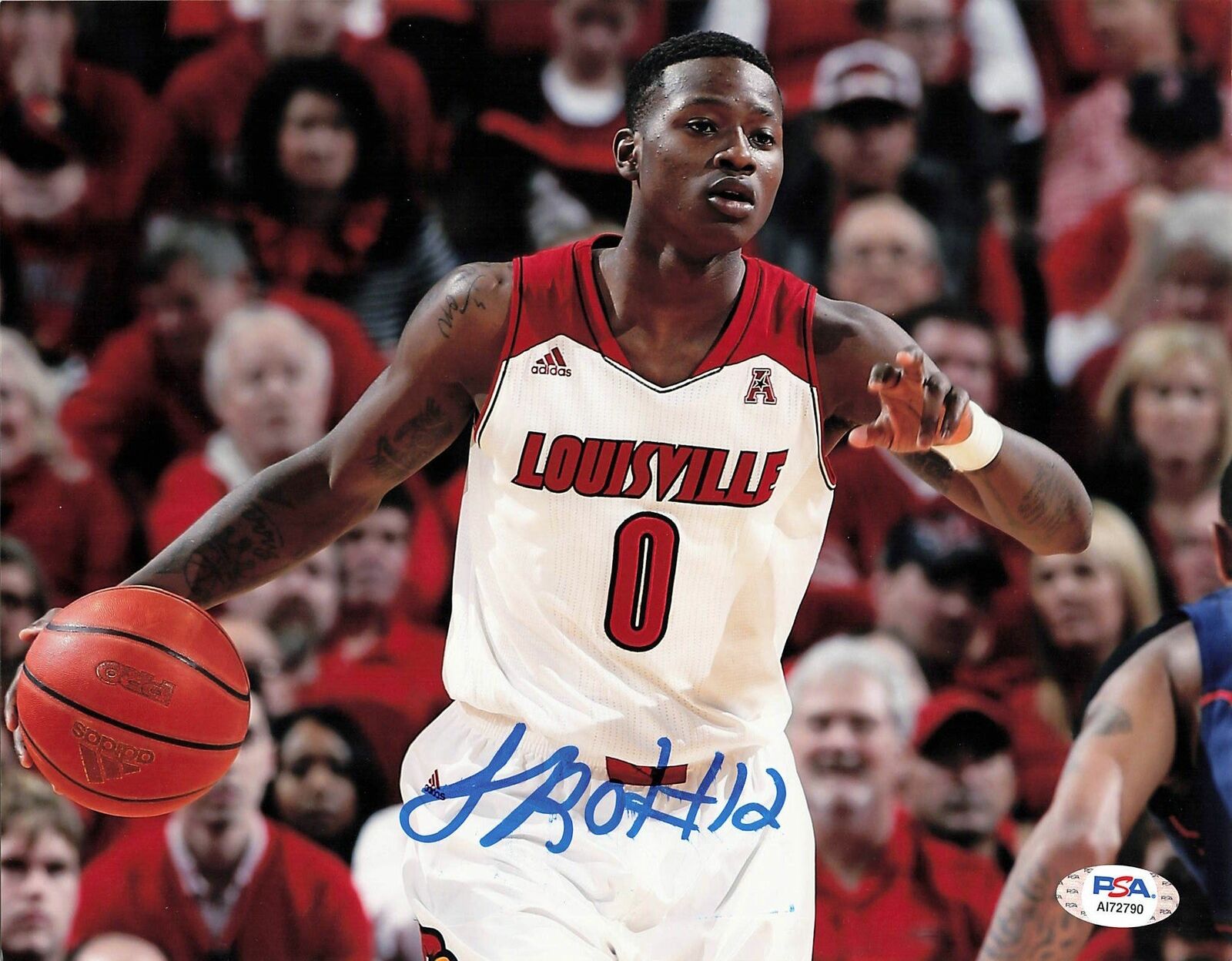 Terry Rozier signed 8x10 Photo Poster painting PSA/DNA Louisville Boston Celtics Autographed