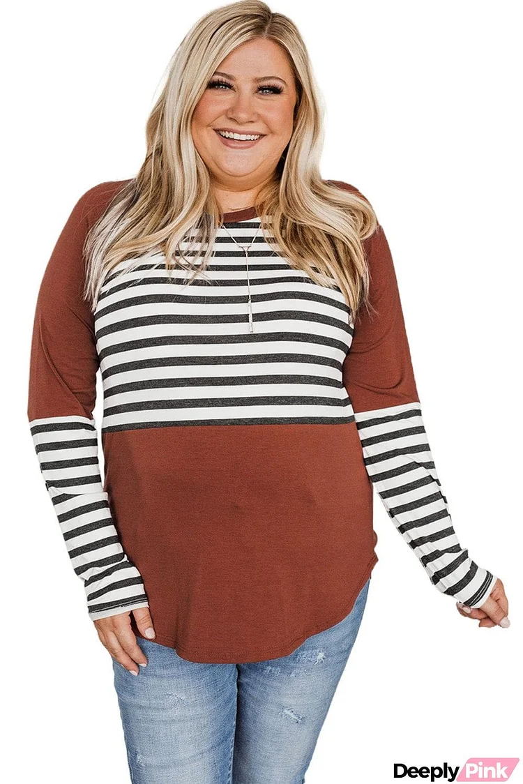 Striped Colorblock Plus Size Long Sleeve Top