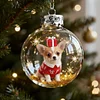 Christmas Day Dog SnowBall Globe Ornaments Decration Family Gift