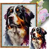 Bernese Mountain Dog-11CT Stamped Cross Stitch 40*50cm tapestrymarket