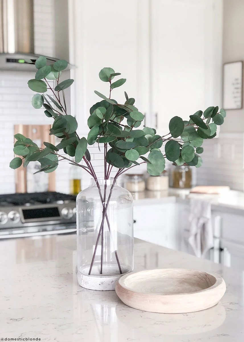 Real Touch Silver Dollar Eucalyptus - 30"