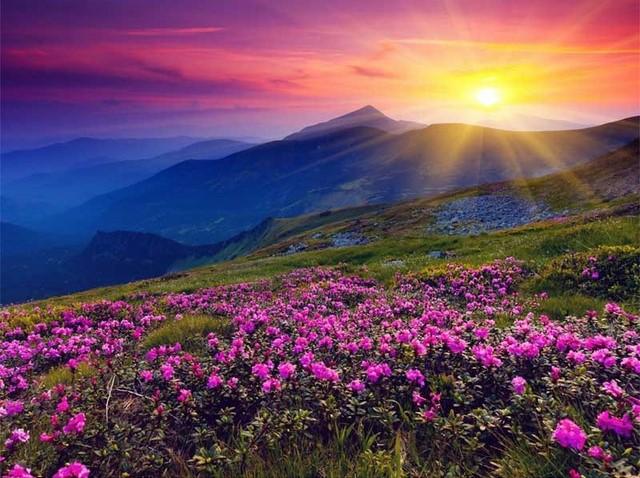 

Purple Mountain Sunset – Paint By Numbers - 40*50CM, 501 Original