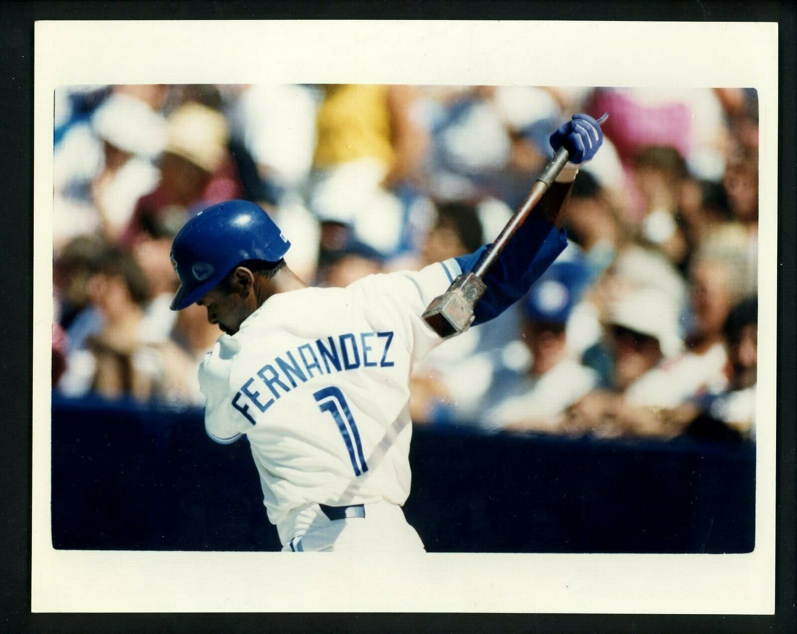 Tony Fernandez Official Toronto Blue Jays 1993 Press Original Photo Poster painting