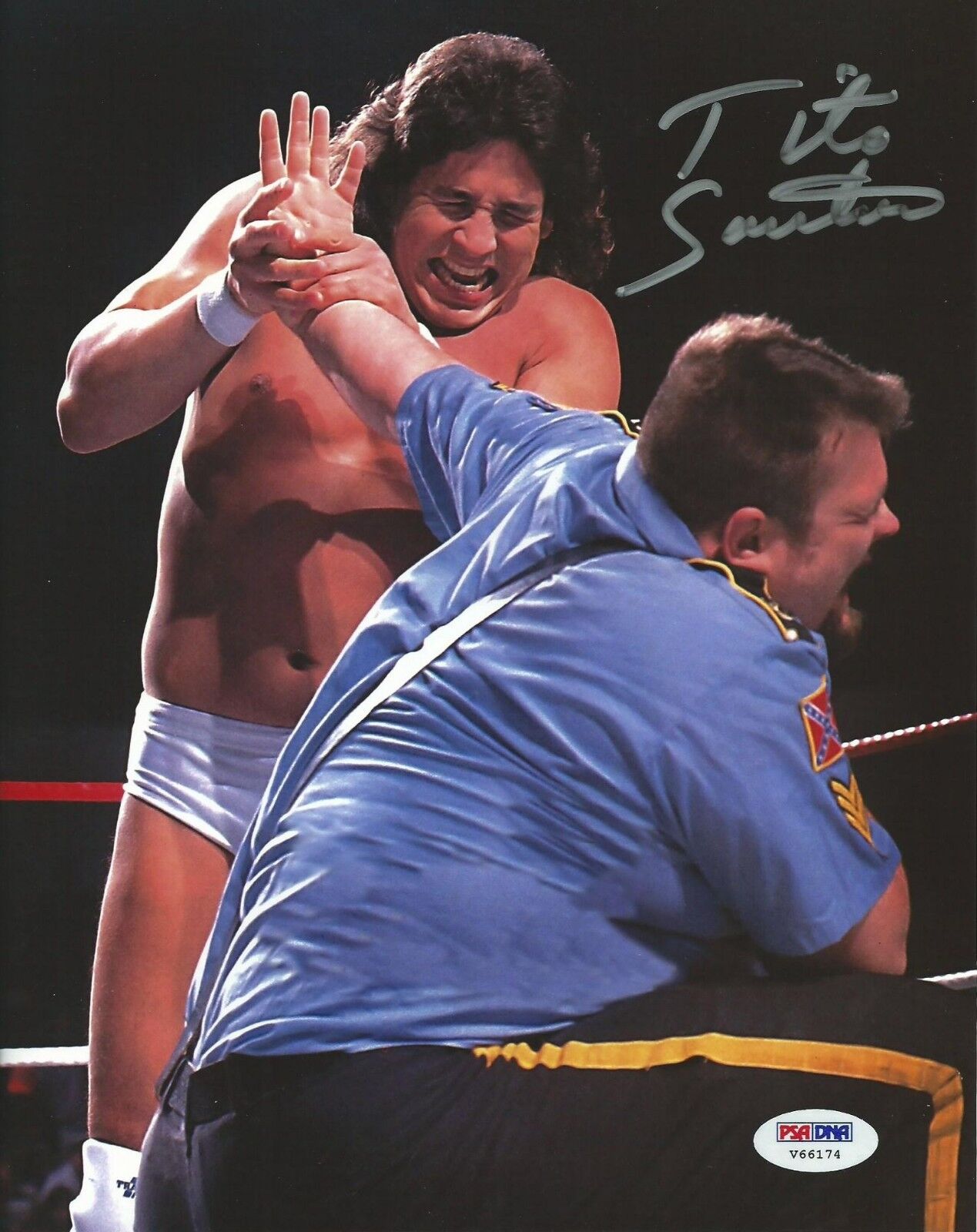 Tito Santana Signed WWE 8x10 Photo Poster painting PSA/DNA COA Picture Pro Wrestling Legend Auto