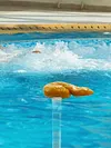 Floating Water Thermometer with Rope Floating Poop Thermometer for Spas Hot Tubs