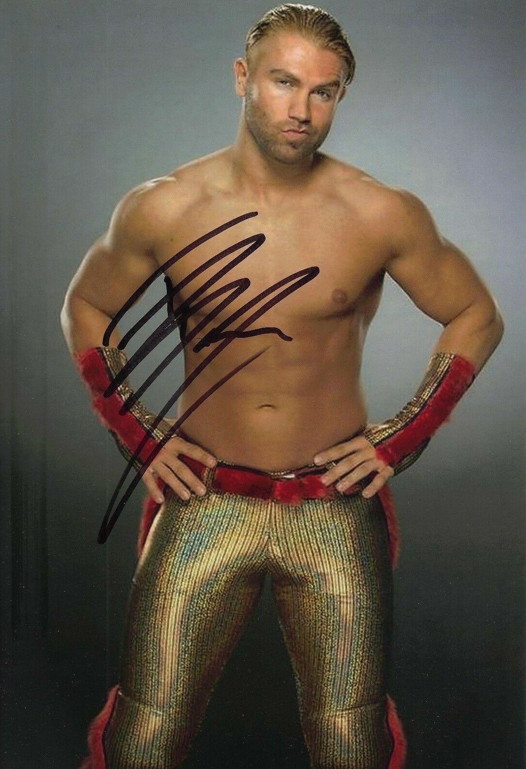 Tyler Breeze Signed 12X8 Photo Poster painting WWE UFC WWF AFTAL COA (7149)