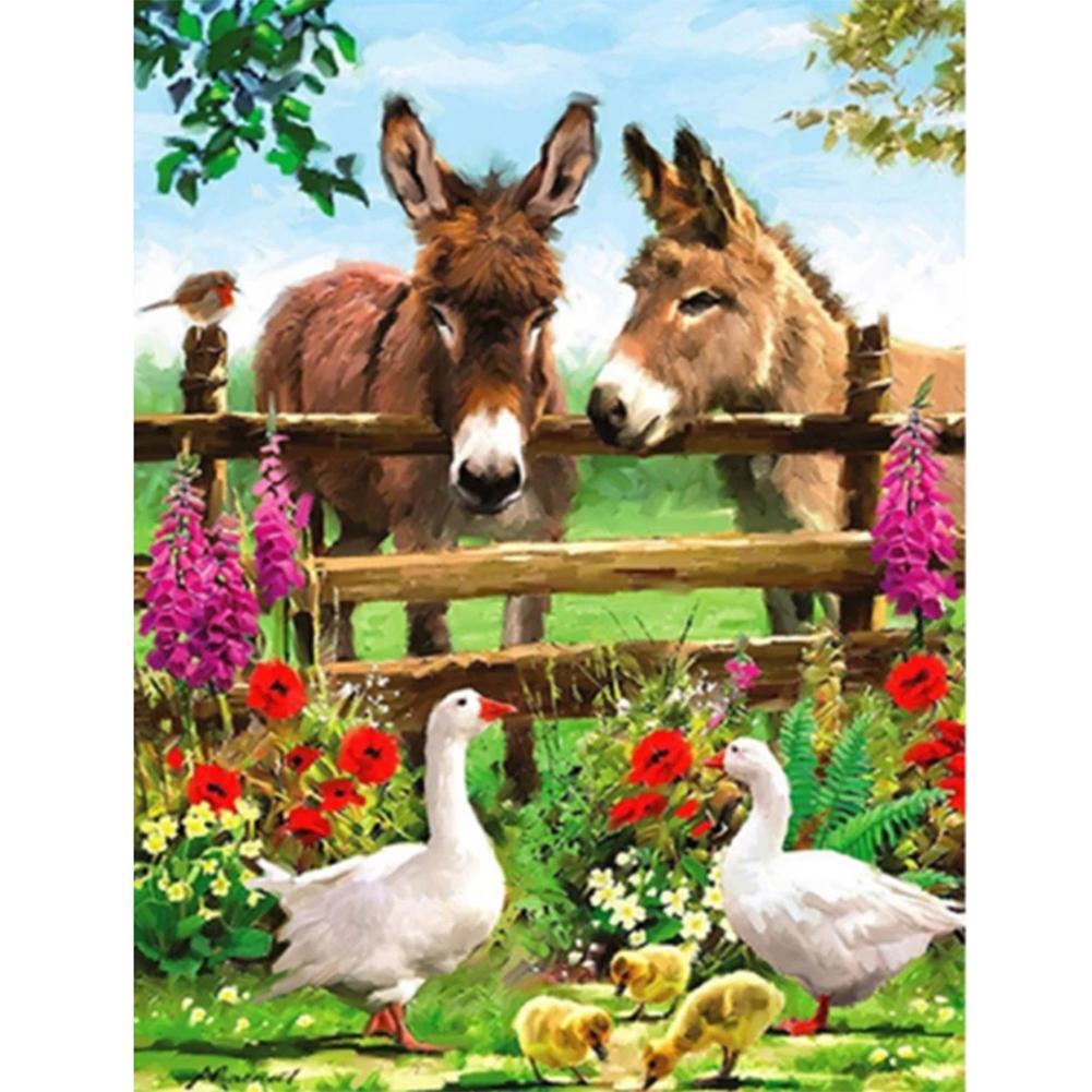 

40x50cm - Paint By Numbers Donkeys, 501 Original