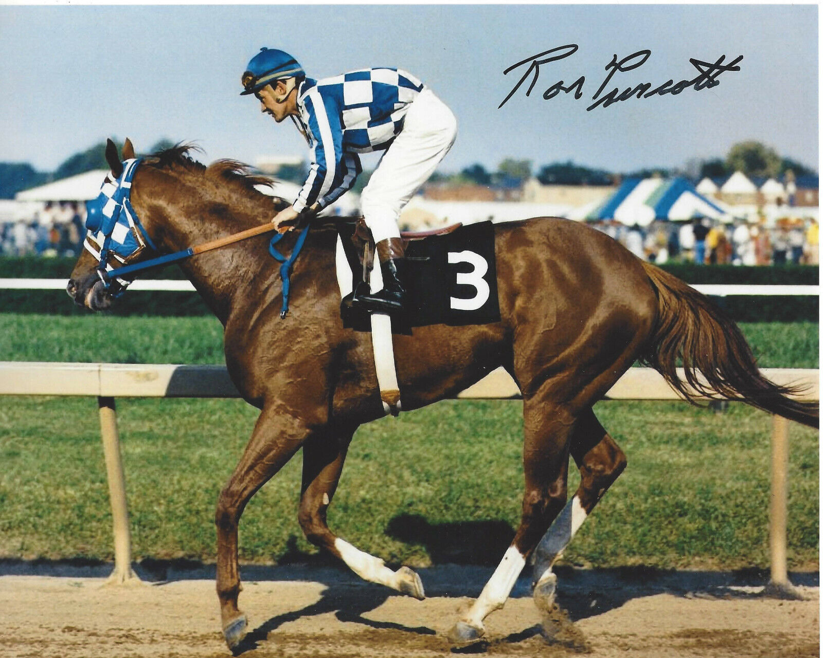 RACE HORSE JOCKEY RON TURCOTTE SIGNED 1973 TRIPLE 8X10 Photo Poster painting w/COA SECRETARIAT