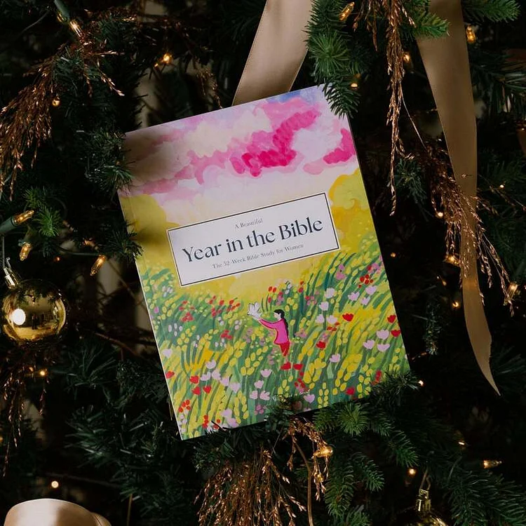 A Beautiful Year in the Bible study The Cold Blanket