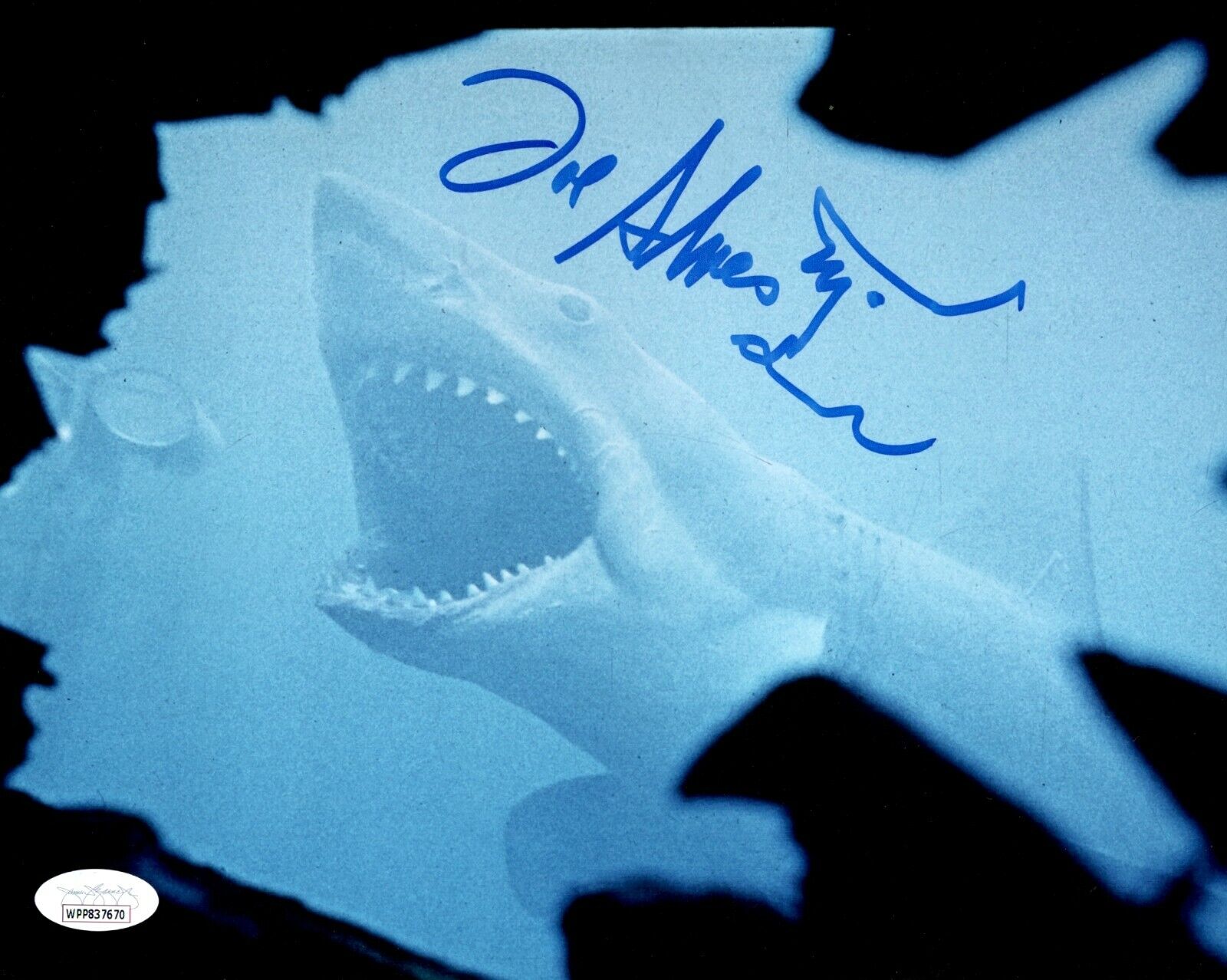 JOE ALVES Signed JAWS SHARK DESIGNER 8x10 Photo Poster painting Autograph JSA COA WPP Cert