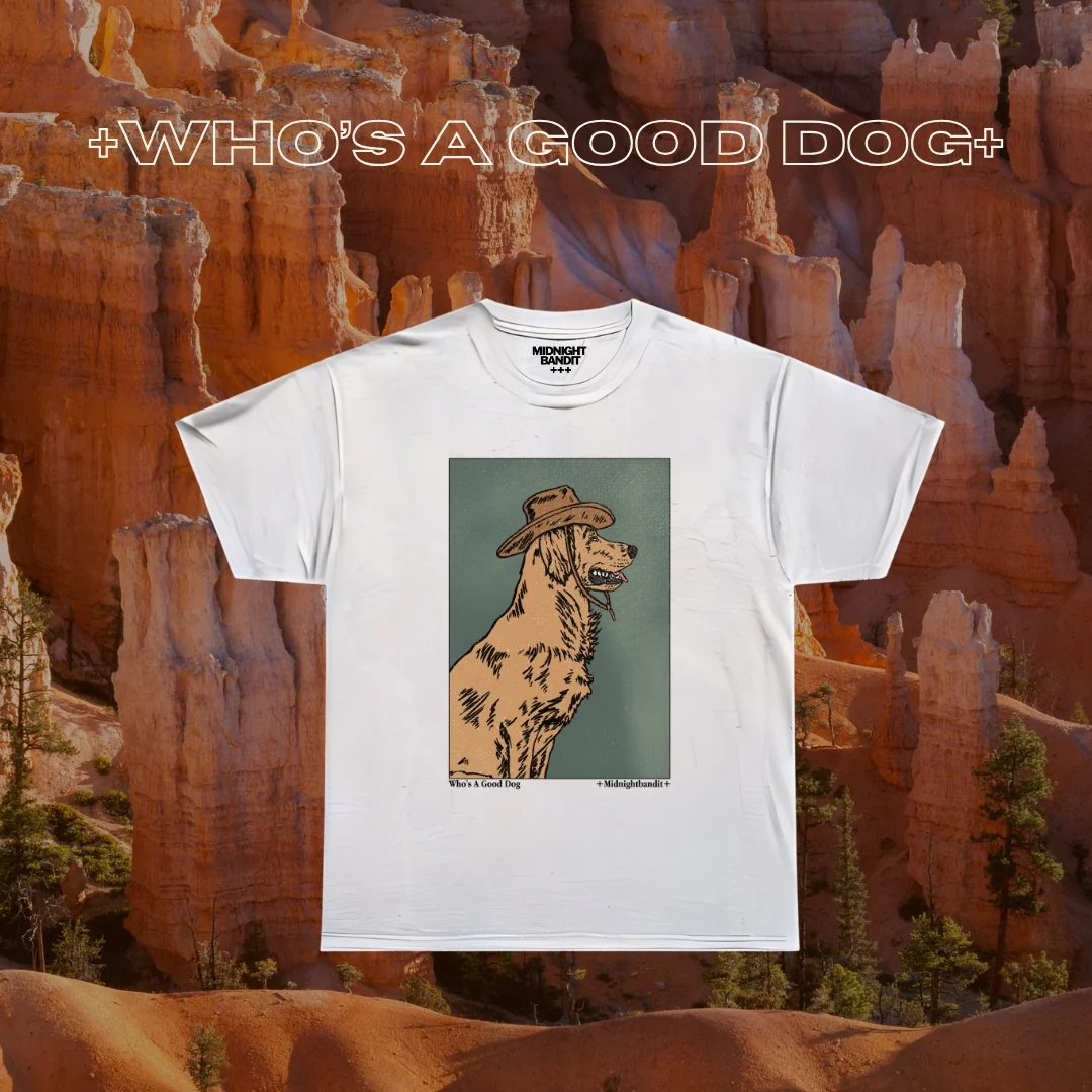 9b7a62ff96a7d351d02d35be5e9380ae