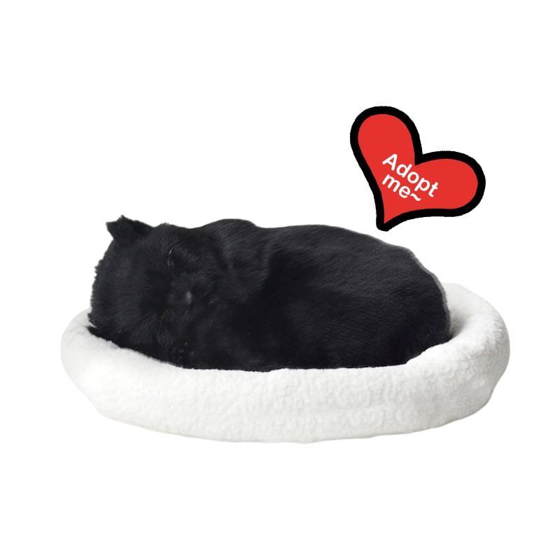 Perfect Petzzz Black Cat Plush Breathing Huggable Kitten Lifelike Companion Toy with 100