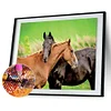 Diamond Painting -DIY Full Square Drill Snuggling Horses