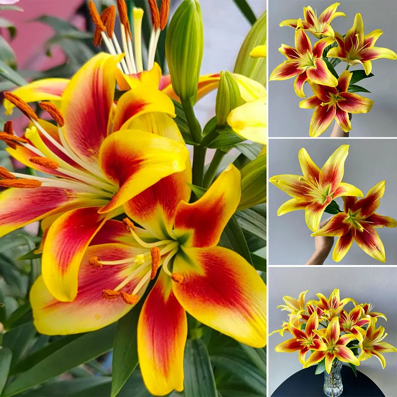 lily flower shop Peaceful White Lilies Basket main image 0