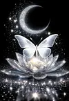 Luxury AB Velvet Diamond Painting Kit - Butterfly