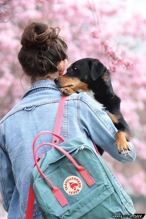 Canvas School Backpack